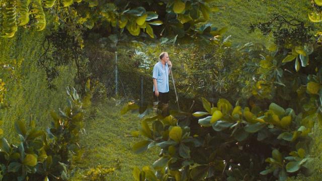 Pintando con John 2x4