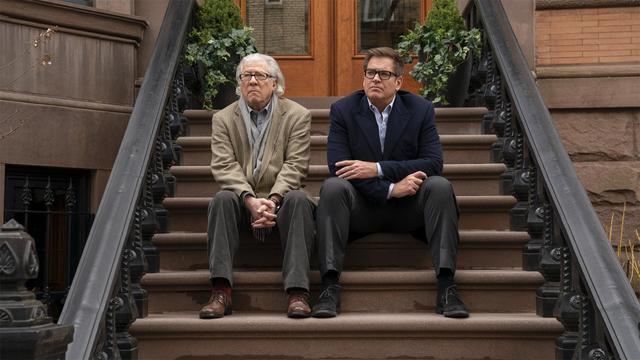 Bull 6x20
