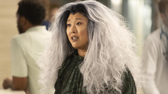 Anatomía según Grey 18x7