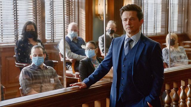 Bull 5x8