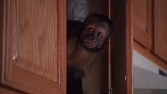 Malcolm el de en Medio 3x22