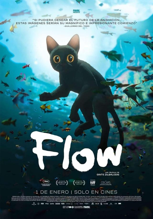 Flow